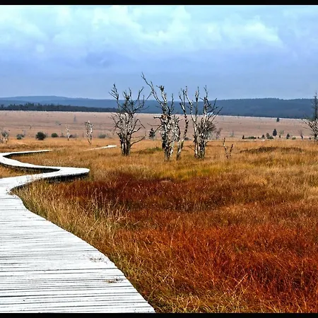 Appartement Sympa A *
