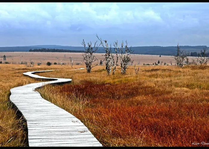 Appartement Sympa A *