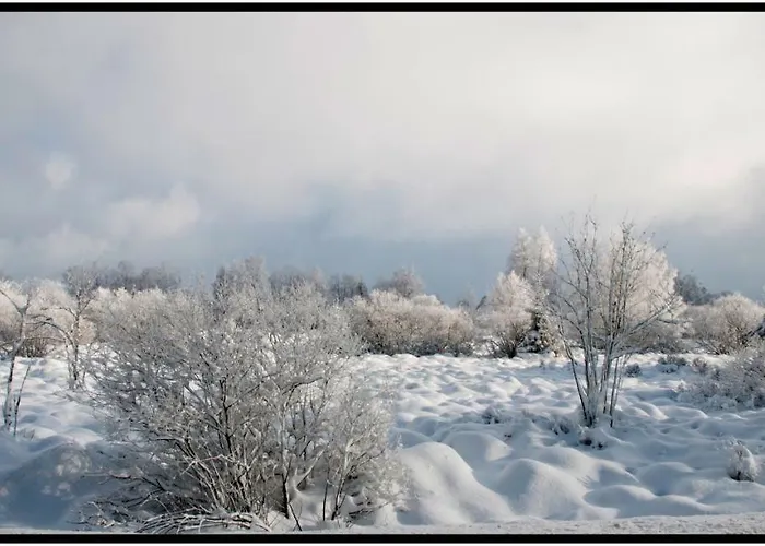 Appartement Sympa A *